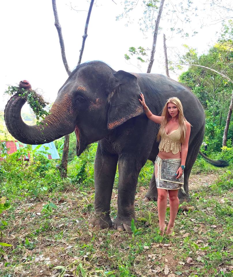 phuket-elephant-russian-006